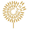 Caspian Company Logo