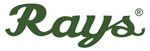 Rayytech Company Logo