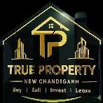 True Property New Chandigarh Company Logo