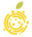 YellowBerry Technologies Private Limited logo