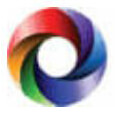 Softura Private Limited logo