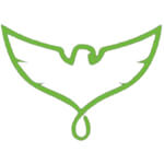 Ezio Infotech Pvt. Ltd. logo