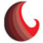 Conulting Krew Pvt Ltd logo