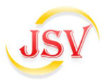 JSV Technologies And Consulting Pvt Ltd. logo