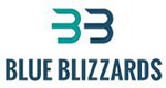 Blue Blizzards It Solution Pvt Ltd logo