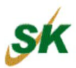 SK Group of Companies Company Logo