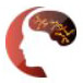 Codicians Company Logo