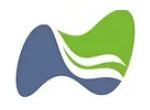 Nellai Systems & Services Company Logo