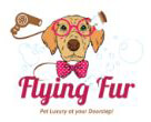 FLYING FUR CHANDIGARH logo