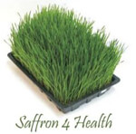 Saffron4health logo