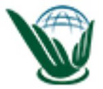 Emerald Global Automation India logo
