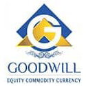 GOODWILL WEALTH MANAGEMENT PVT LTD logo