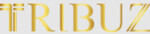 Tribuz Interiors Pvt Ltd Company Logo