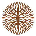 Roots Consultants logo