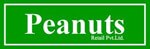 Peanuts Retail P Ltd logo