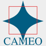 Cameo Corporate Services Ltd Company Logo
