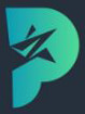 Polestarre Company Logo