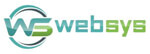 Websys Infotech logo