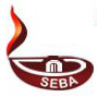 Seba Rahara Company Logo