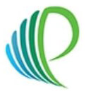 Prompt personnel Pvt. Ltd. logo