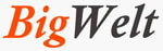 Bigwelt Info Tech India Private Limited logo