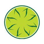 cogenthub logo