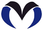 Mockvel Private Limited Company Logo