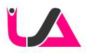 Universal Ally Company Logo