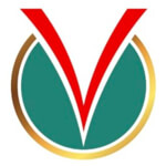 Vertue Ventures logo
