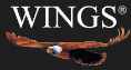 Wings Brand Activation Pvt Ltd logo