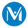 ManVision Consultancy Company Logo