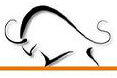 Ebullient Securities Pvt. Ltd. Company Logo