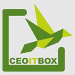 CEOITBOX Tech Services LLP. logo