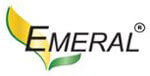 EMERAL ENERGY SOLUTIONS PVT  LTD logo