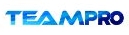 TEAMPRO HR & IT Services Pvt Ltd logo