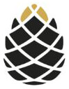 ANTALYA BY DIVINE GANGA logo