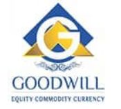 Goodwill Wealth Management Private Limited logo