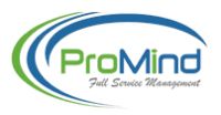 Promind Solution Company Logo