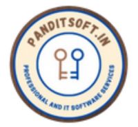 PanditSoft logo