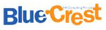 Bluecrest HR Consulting Pvt Ltd. logo