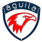 Aguila Consulting logo