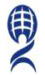 Persistent Network Pvt. Ltd. logo
