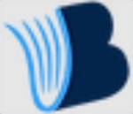 Brightmate Academy logo