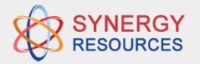 Synergy Incorporation logo