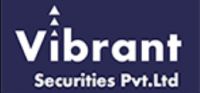 Vibrant securities Pvt Ltd logo