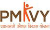 Vips Foundation logo