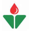 N K PVT LTD logo