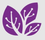 Saived Perficient Private Limited logo