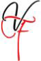 Vishal Poly Fibres Pvt Ltd logo