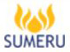 Sumeru Software Solutions Pvt. Ltd. logo